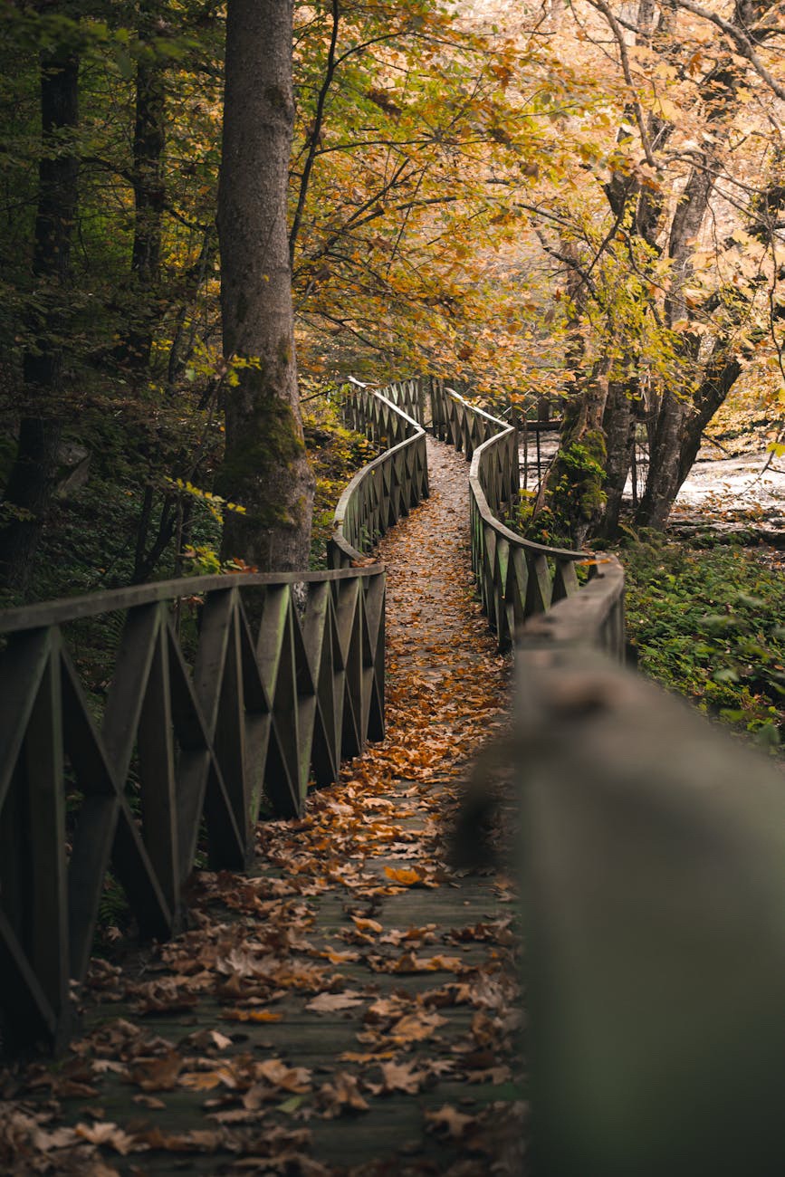 How to Choose Destinations That Actually Align With Your Values: The 3-Question&nbsp;Framework