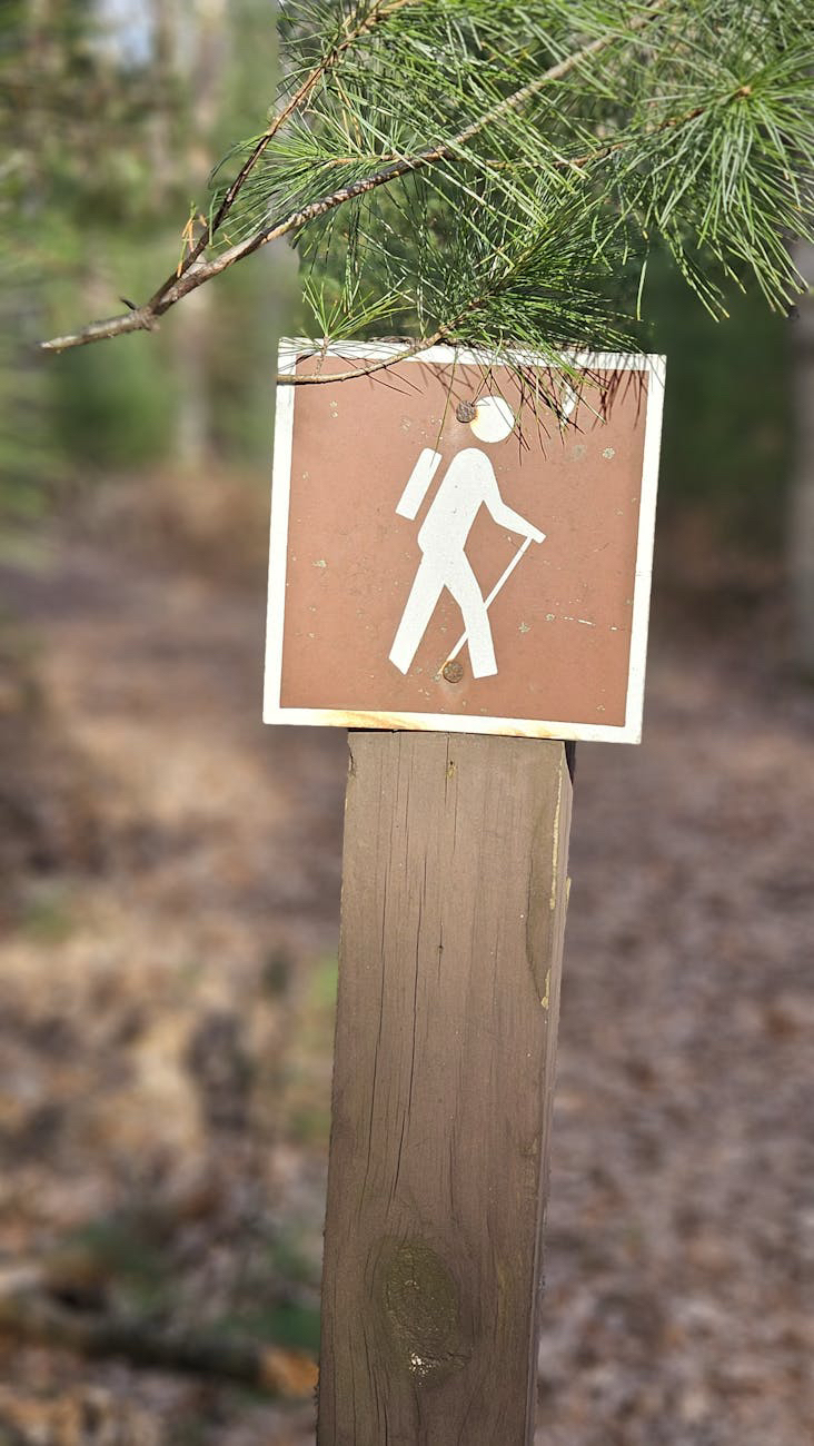 The Trailhead of Thought